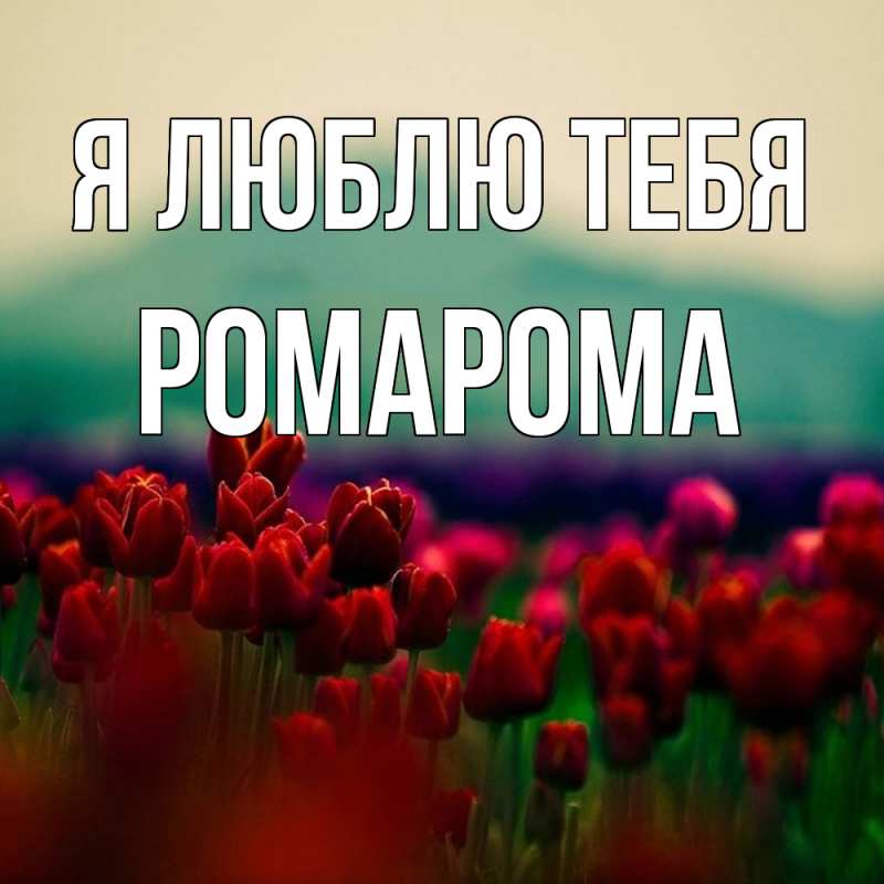 Картинка Я люблю тебя, РомаРома