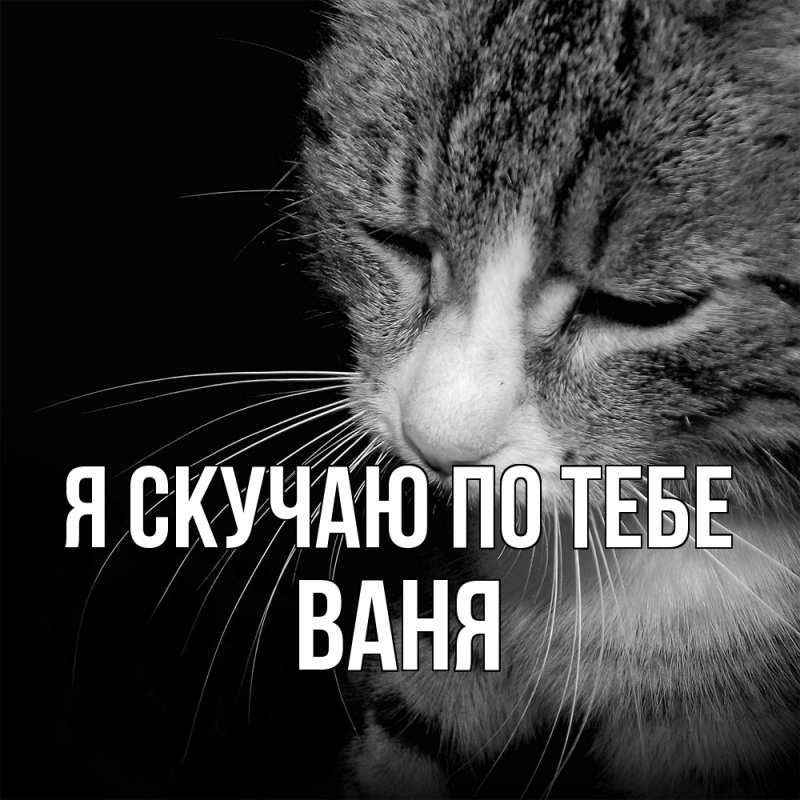 Картинка Я скучаю по тебе, ваня