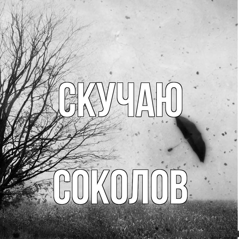 Открытка  с именем. Соколов, Скучаю  