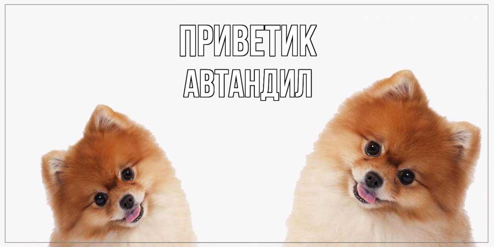 Открытка  с именем. Автандил, приветик  
