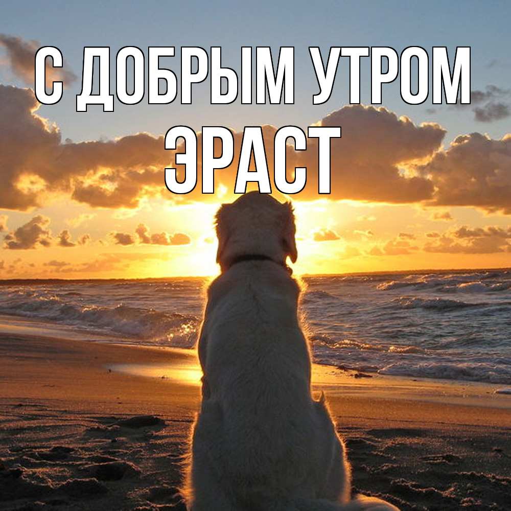Открытка  с именем. Эраст, С добрым утром  