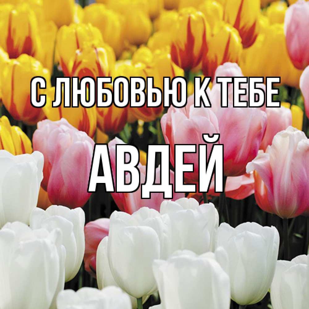 Открытка  с именем. Авдей, С любовью к тебе  