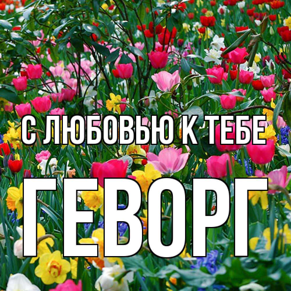 Открытка  с именем. Геворг, С любовью к тебе  