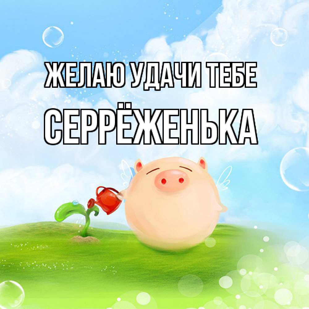 Открытка  с именем. Серрёженька, Желаю удачи тебе  