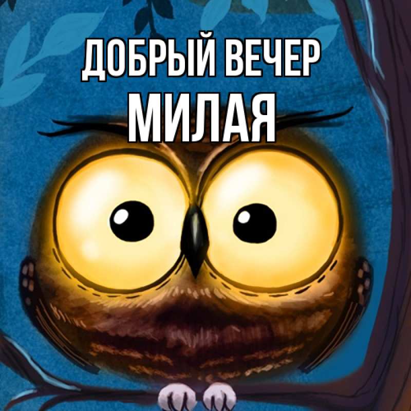 Картинка Добрый вечер, Милая