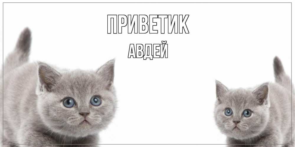 Открытка  с именем. Авдей, приветик  