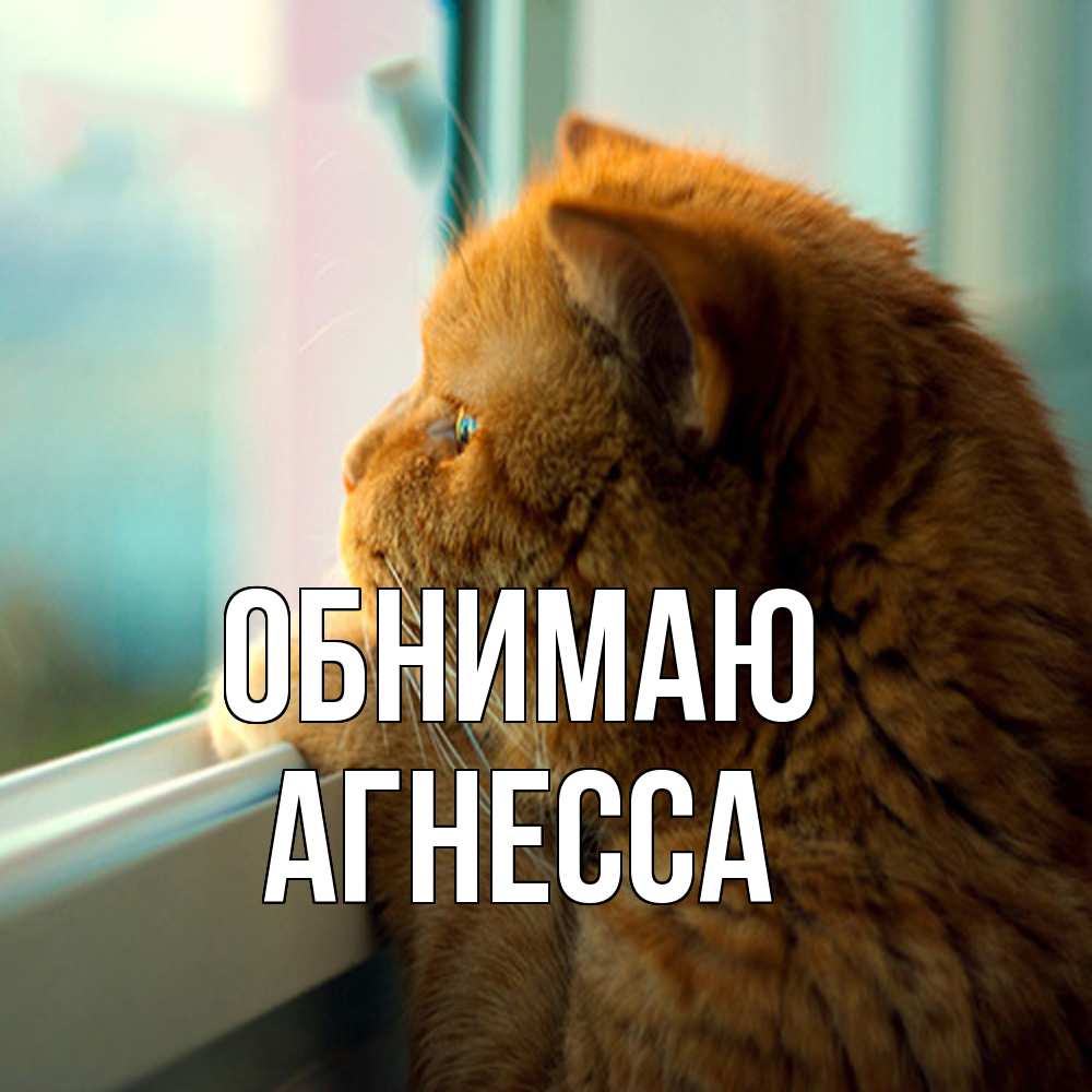 Открытка  с именем. Агнесса, Обнимаю  