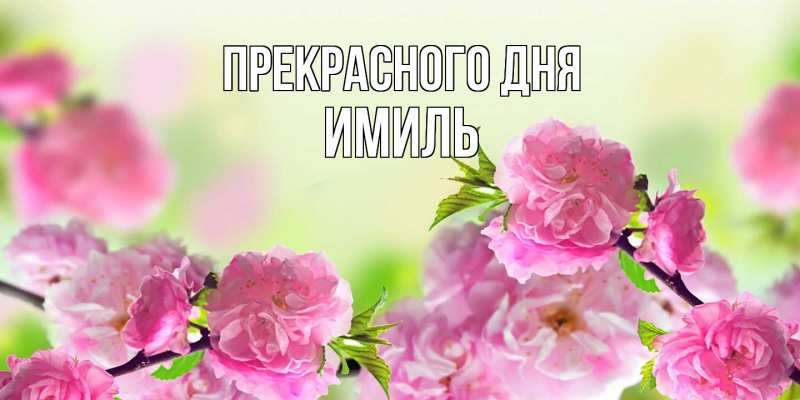 Картинка Прекрасного дня, Имиль