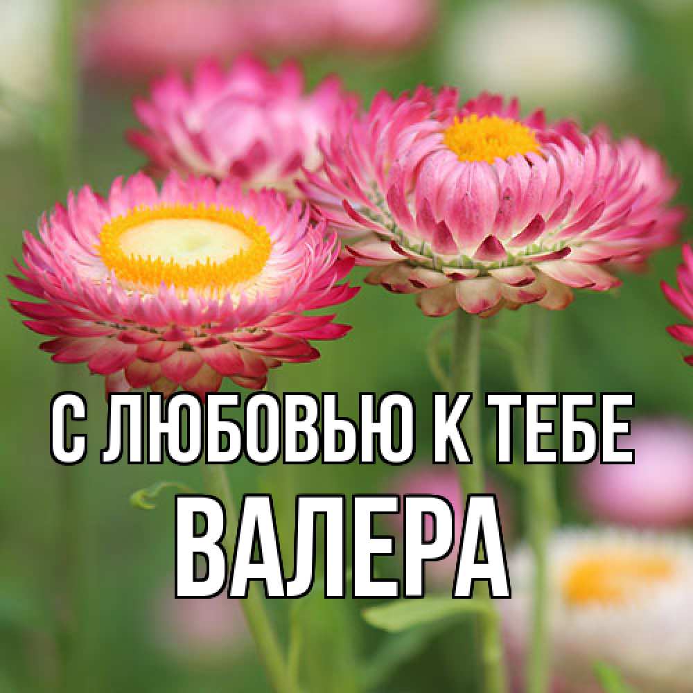 Открытка  с именем. Валера, С любовью к тебе  