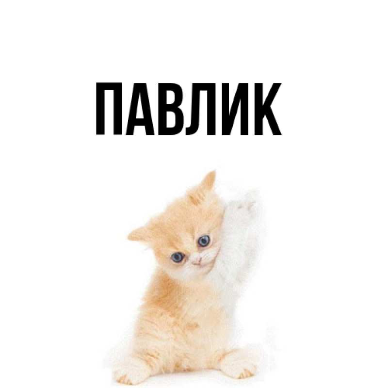 Картинка  с именем , Павлик