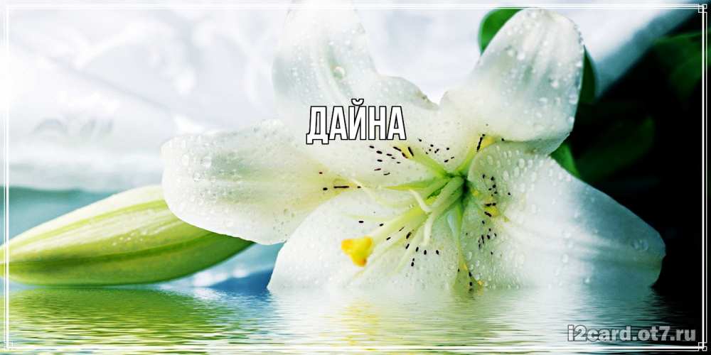 Открытка  с именем. Дайна, Главная  