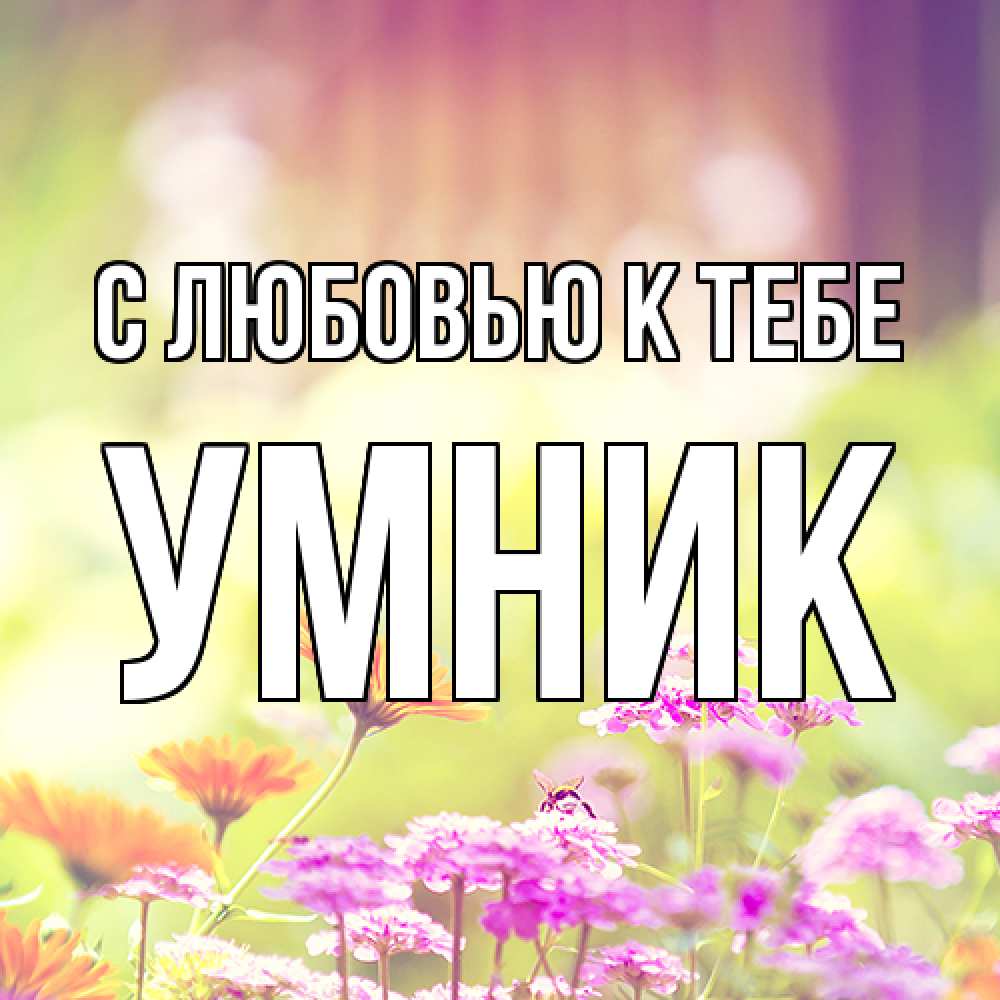 Открытка  с именем. Умник, С любовью к тебе  