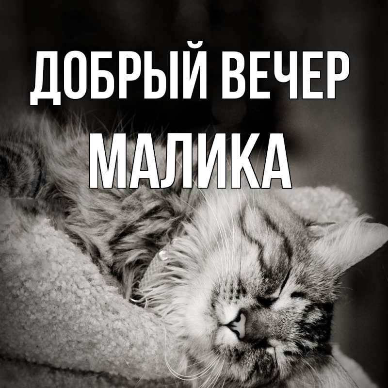 Картинка Добрый вечер, Малика