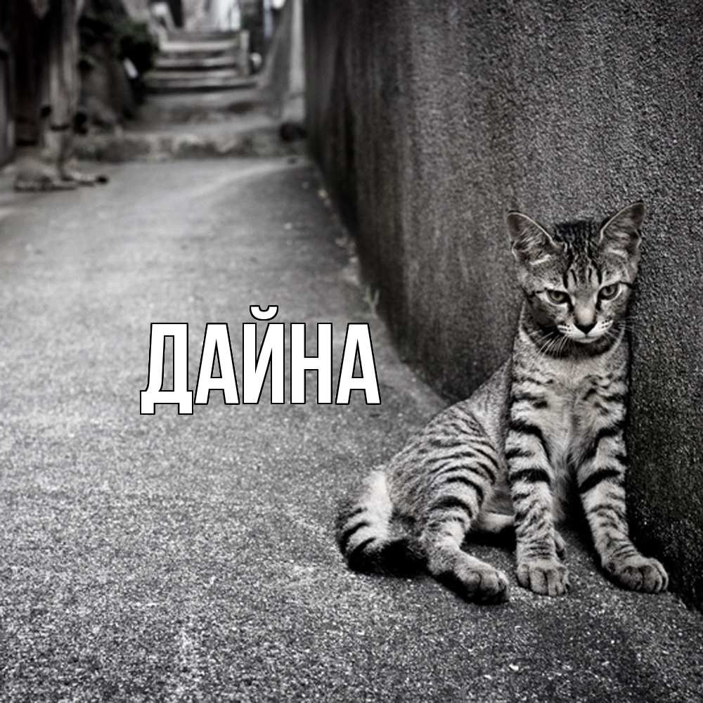 Открытка  с именем. Дайна, Главная  