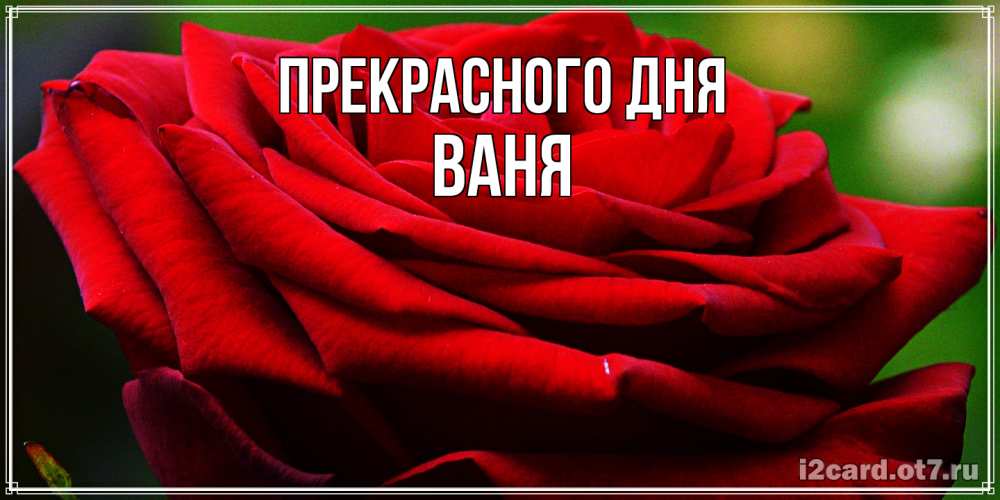 Открытка  с именем. ваня, Прекрасного дня  