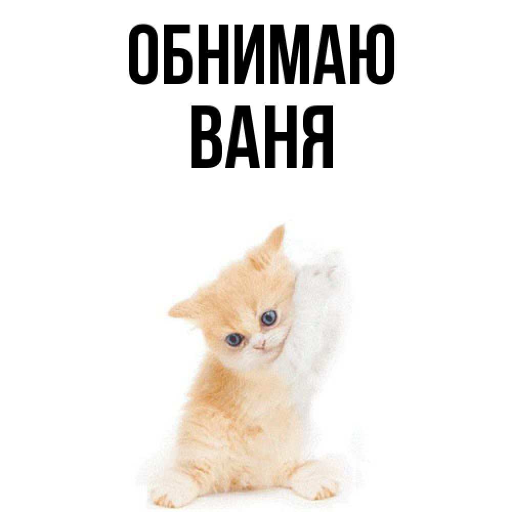 Открытка  с именем. ваня, Обнимаю  
