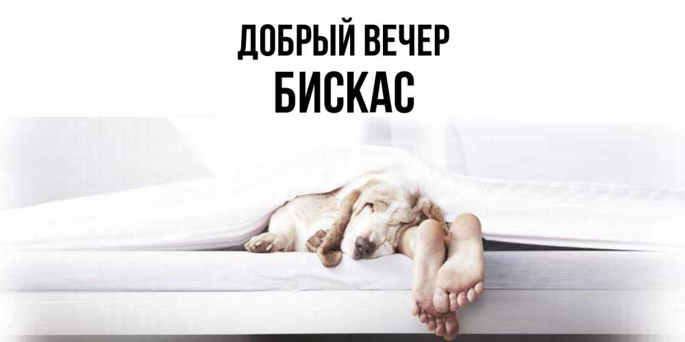 Открытка  с именем. Бискас, Добрый вечер  
