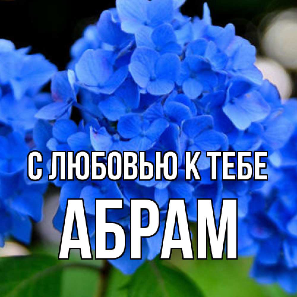 Открытка  с именем. Абрам, С любовью к тебе  