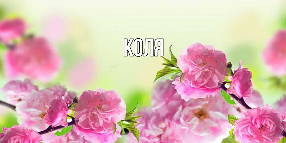 Открытка  с именем. коля, Главная  