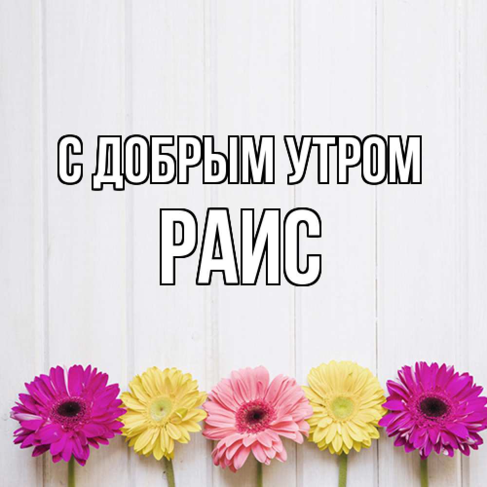 Открытка  с именем. Раис, С добрым утром  