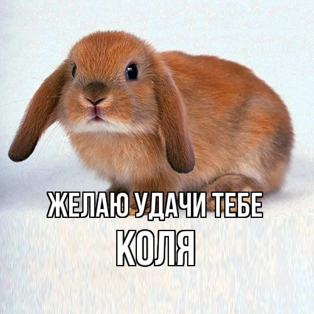 Открытка  с именем. коля, Желаю удачи тебе  