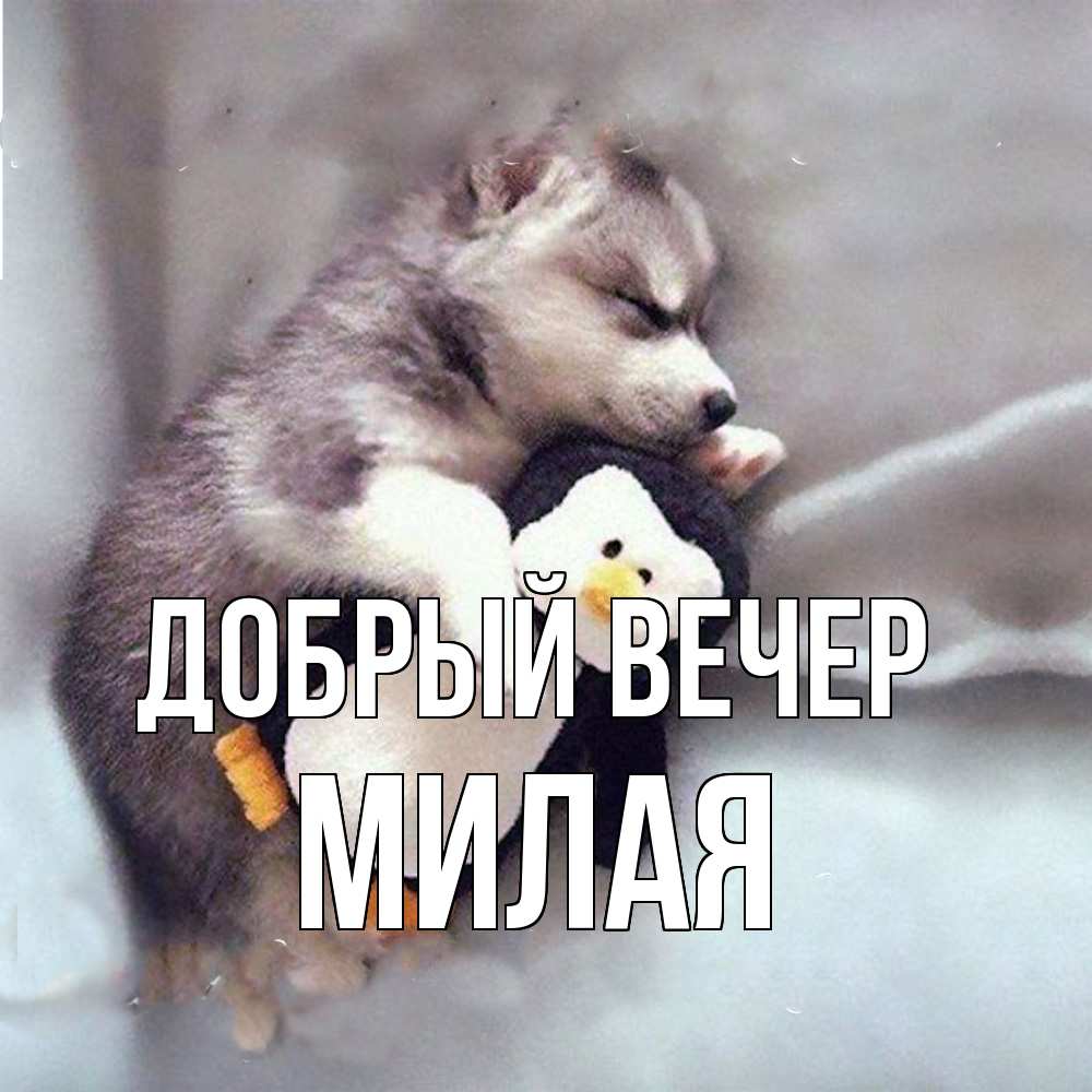 Открытка  с именем. Милая, Добрый вечер  