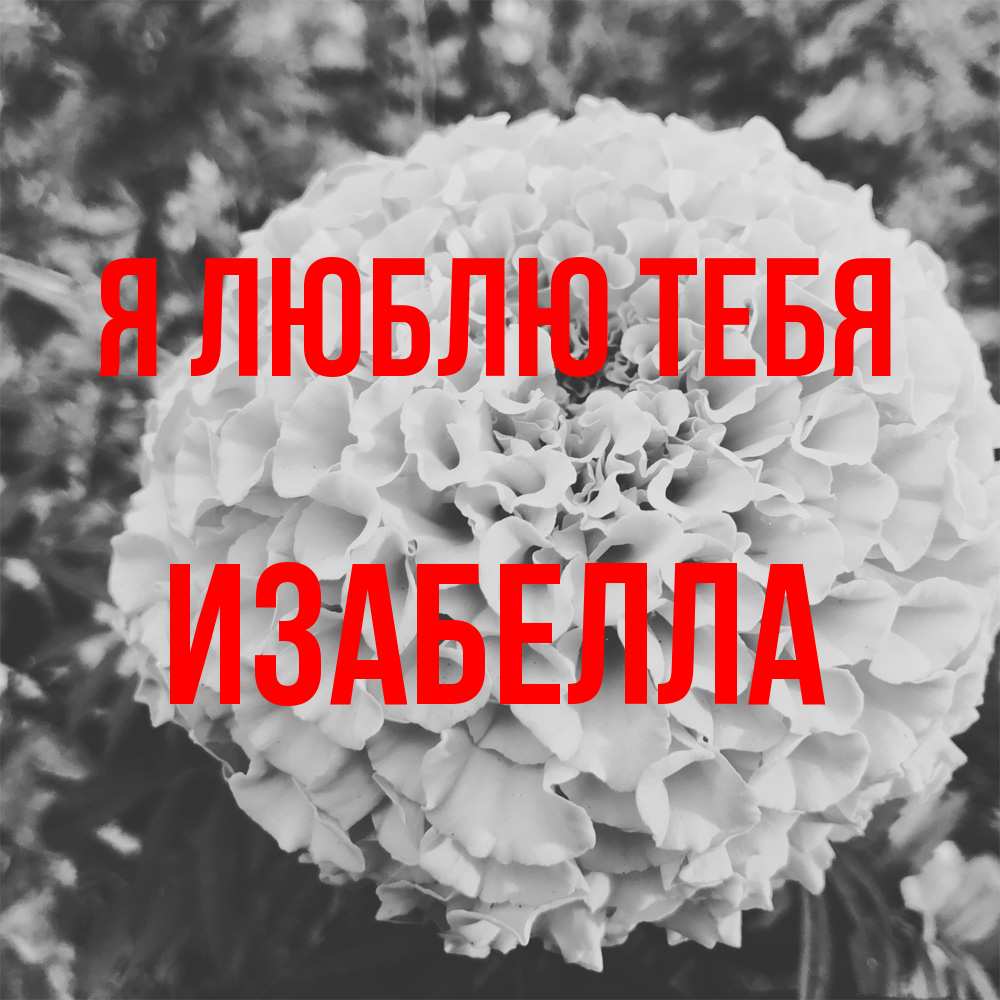 Открытка  с именем. Изабелла, Я люблю тебя  
