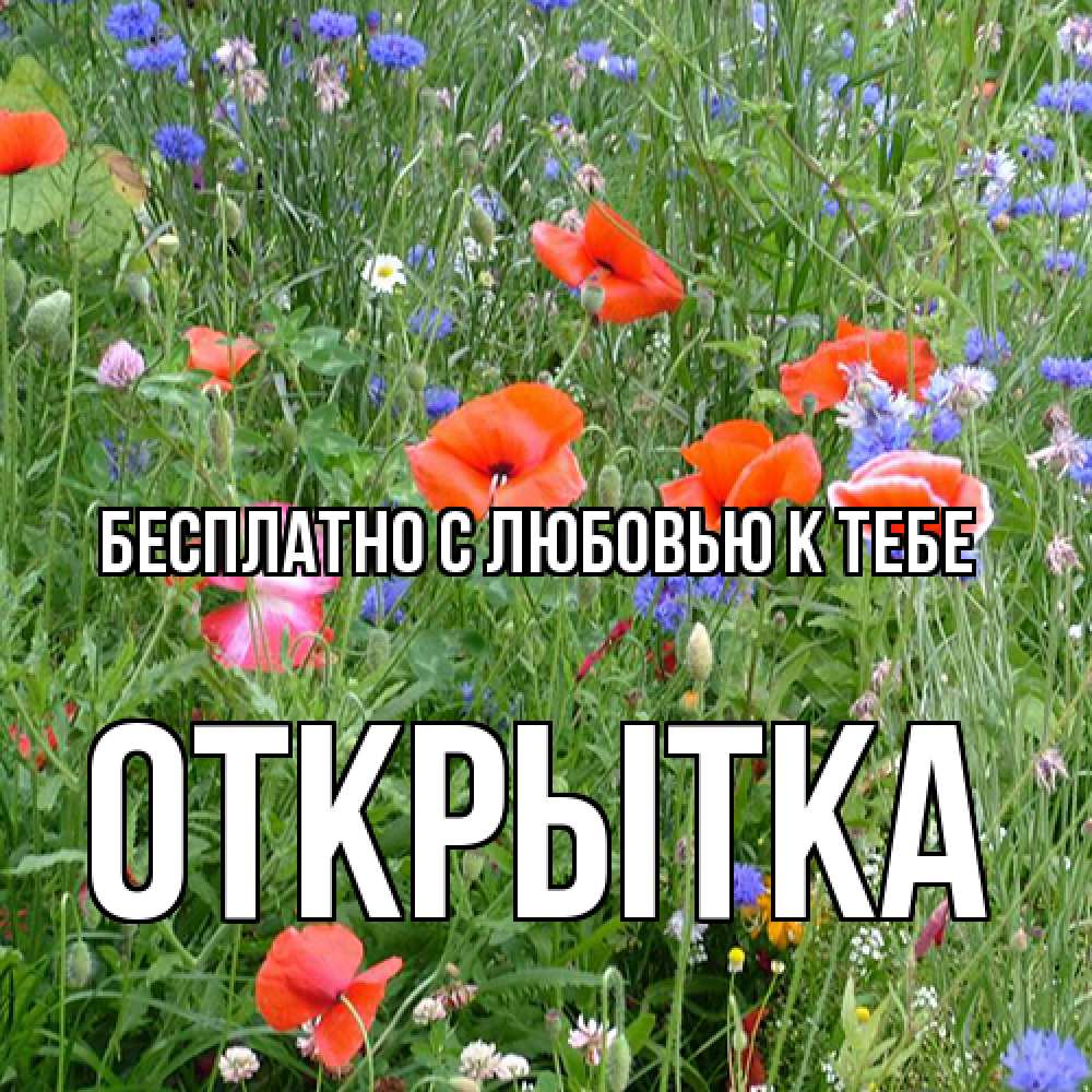Открытка  с именем. открытка, С любовью к тебе  