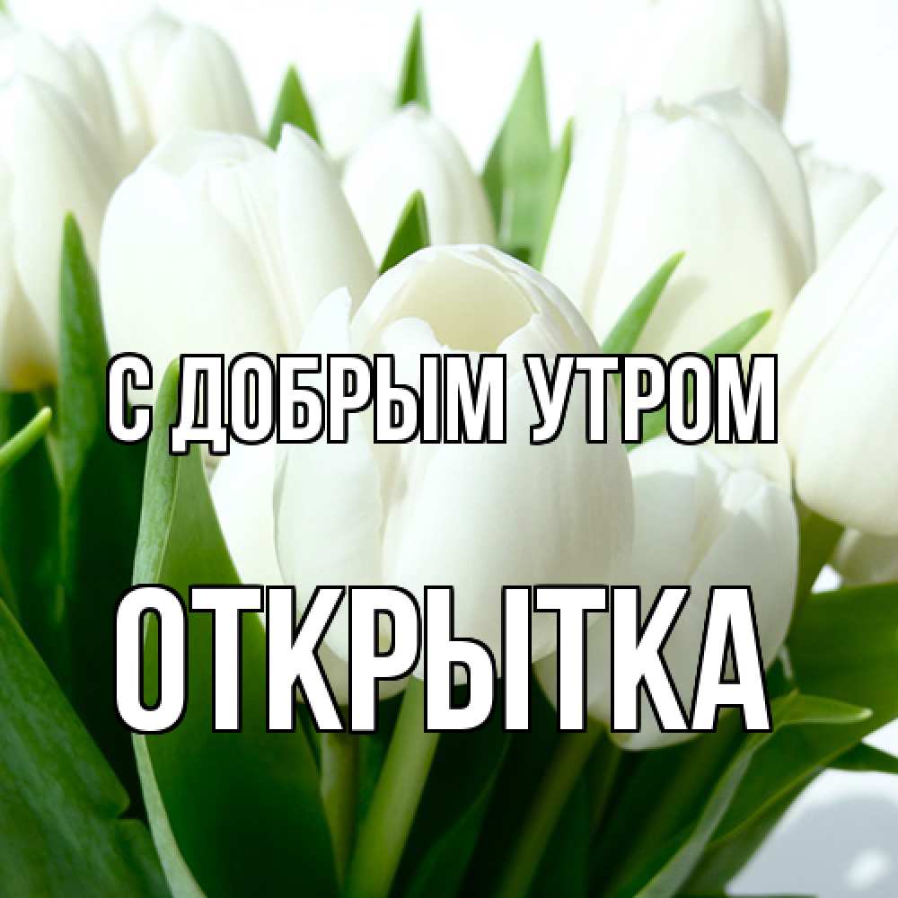 Открытка  с именем. открытка, С добрым утром  