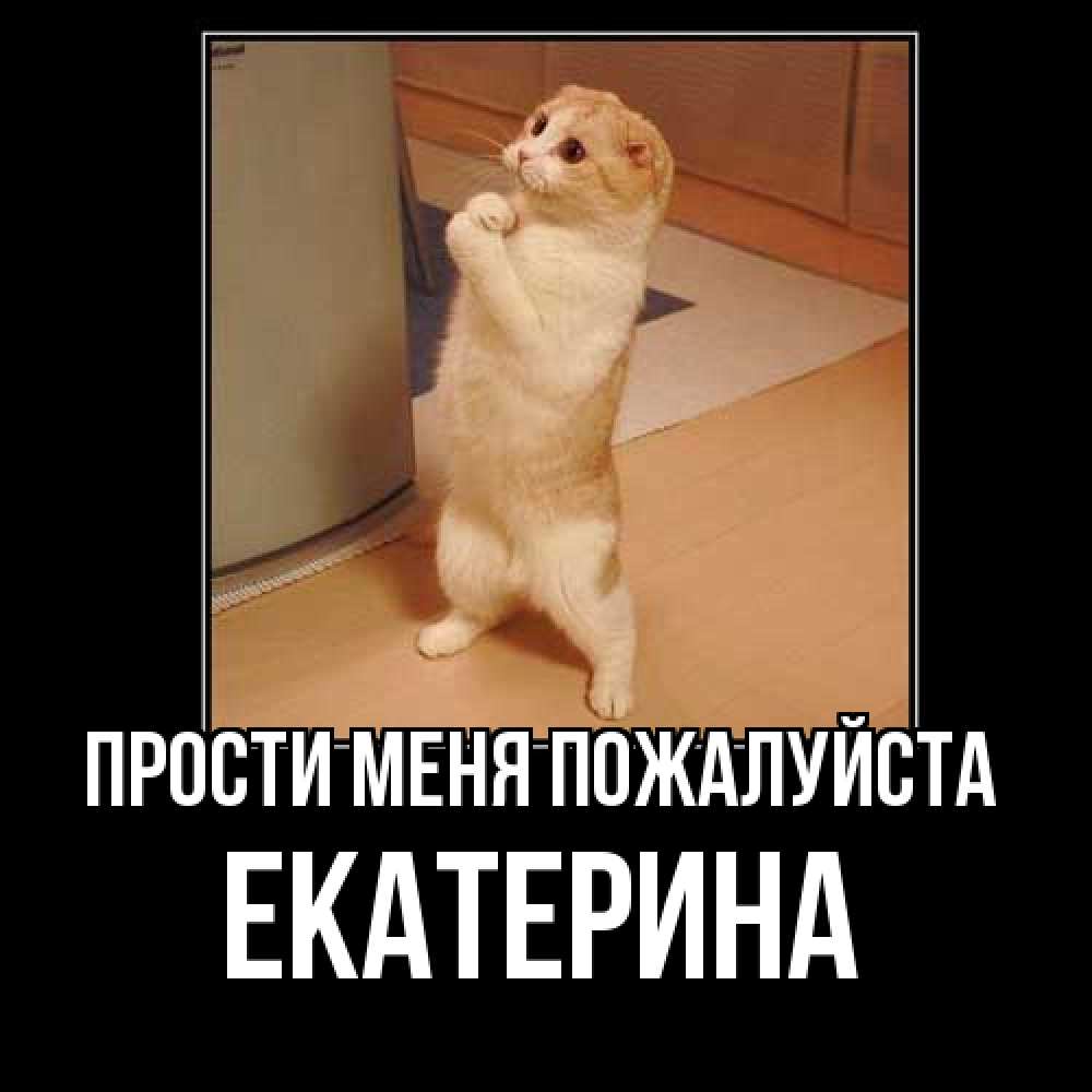 Открытка  с именем. Екатерина, Прости меня пожалуйста  