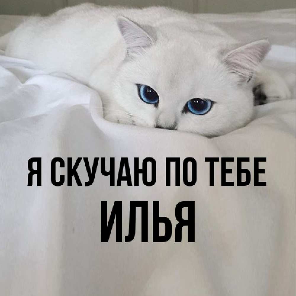 Открытка  с именем. Илья, Я скучаю по тебе  