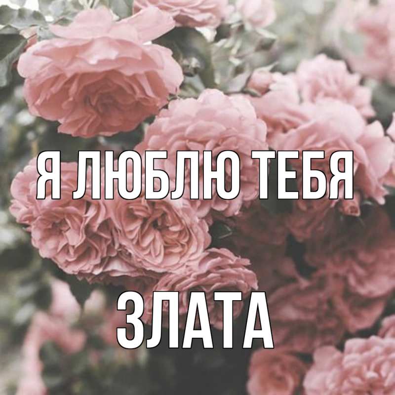 Картинка Я люблю тебя, Злата