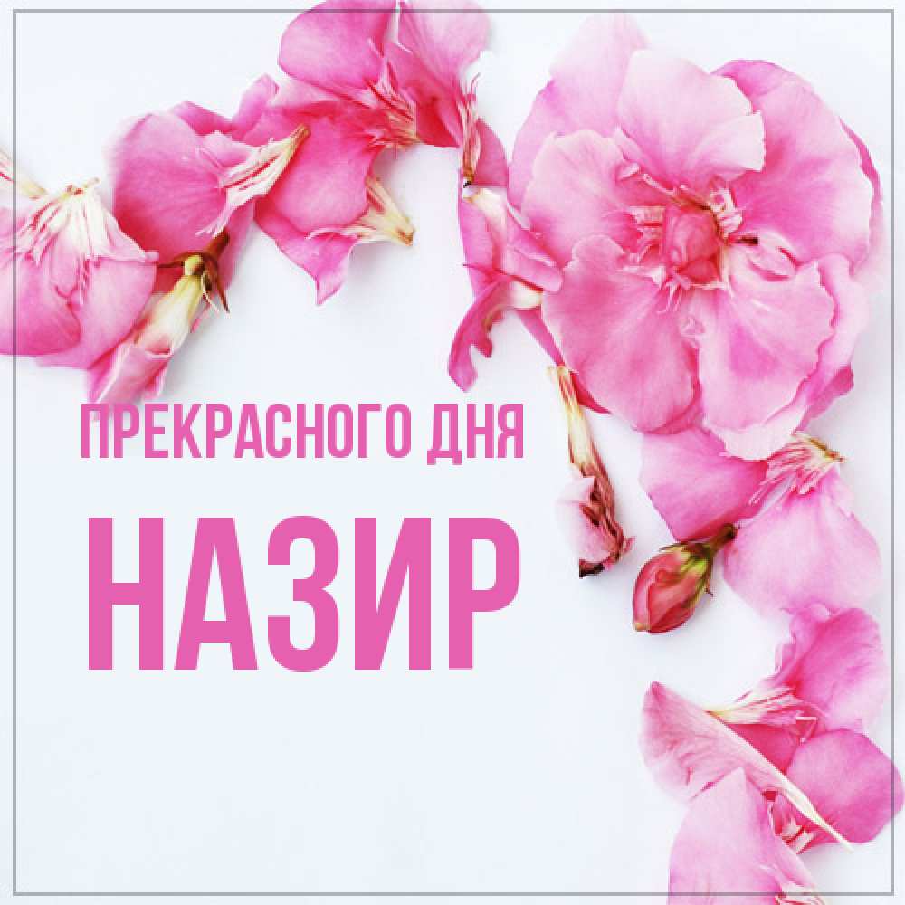 Открытка  с именем. Назир, Прекрасного дня  