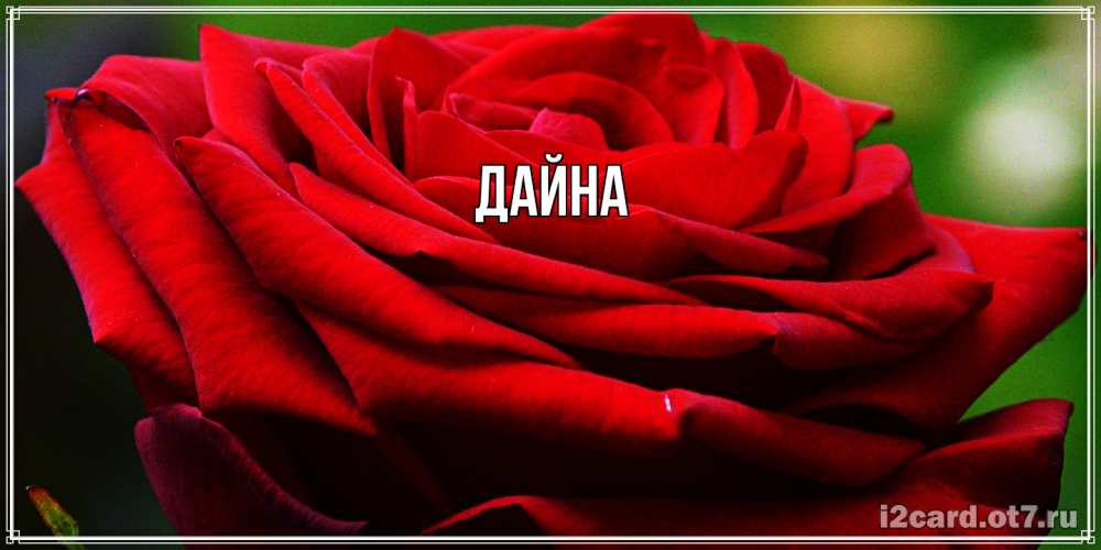 Открытка  с именем. Дайна, Главная  