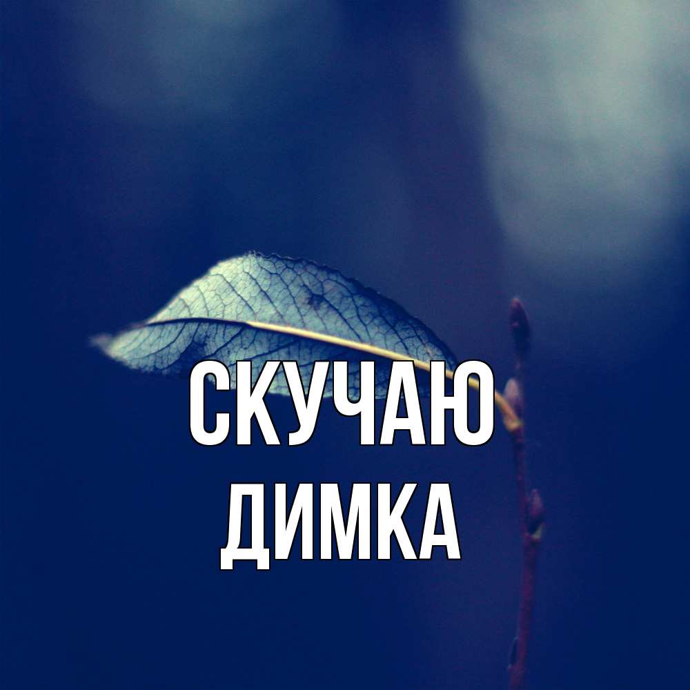 Открытка  с именем. ДИМКА, Скучаю  