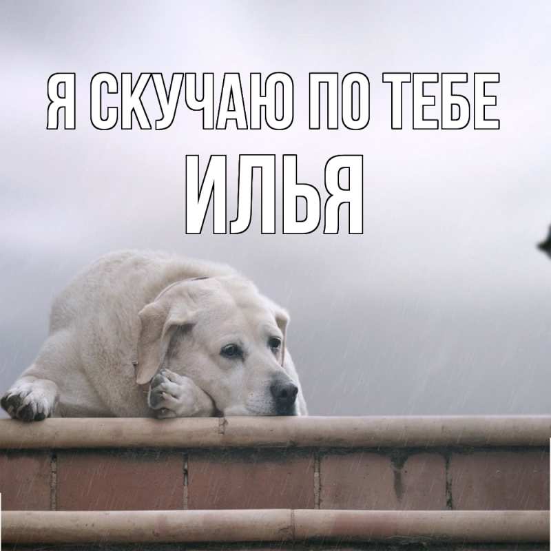 Картинка Я скучаю по тебе, Илья