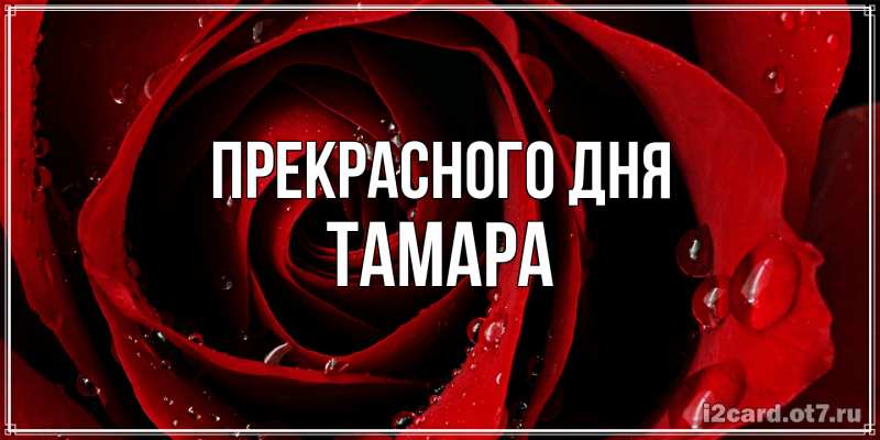 Открытка с именем, Тамара, Прекрасного дня