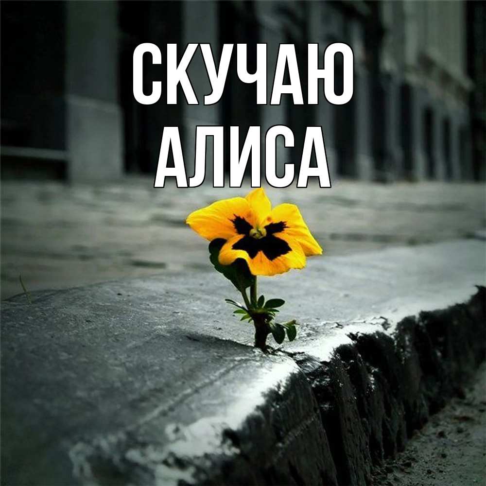 Открытка  с именем. Алиса, Скучаю  