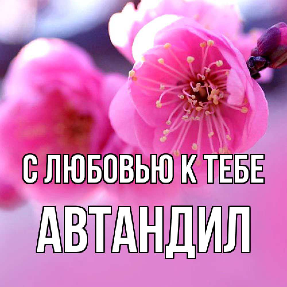 Открытка  с именем. Автандил, С любовью к тебе  