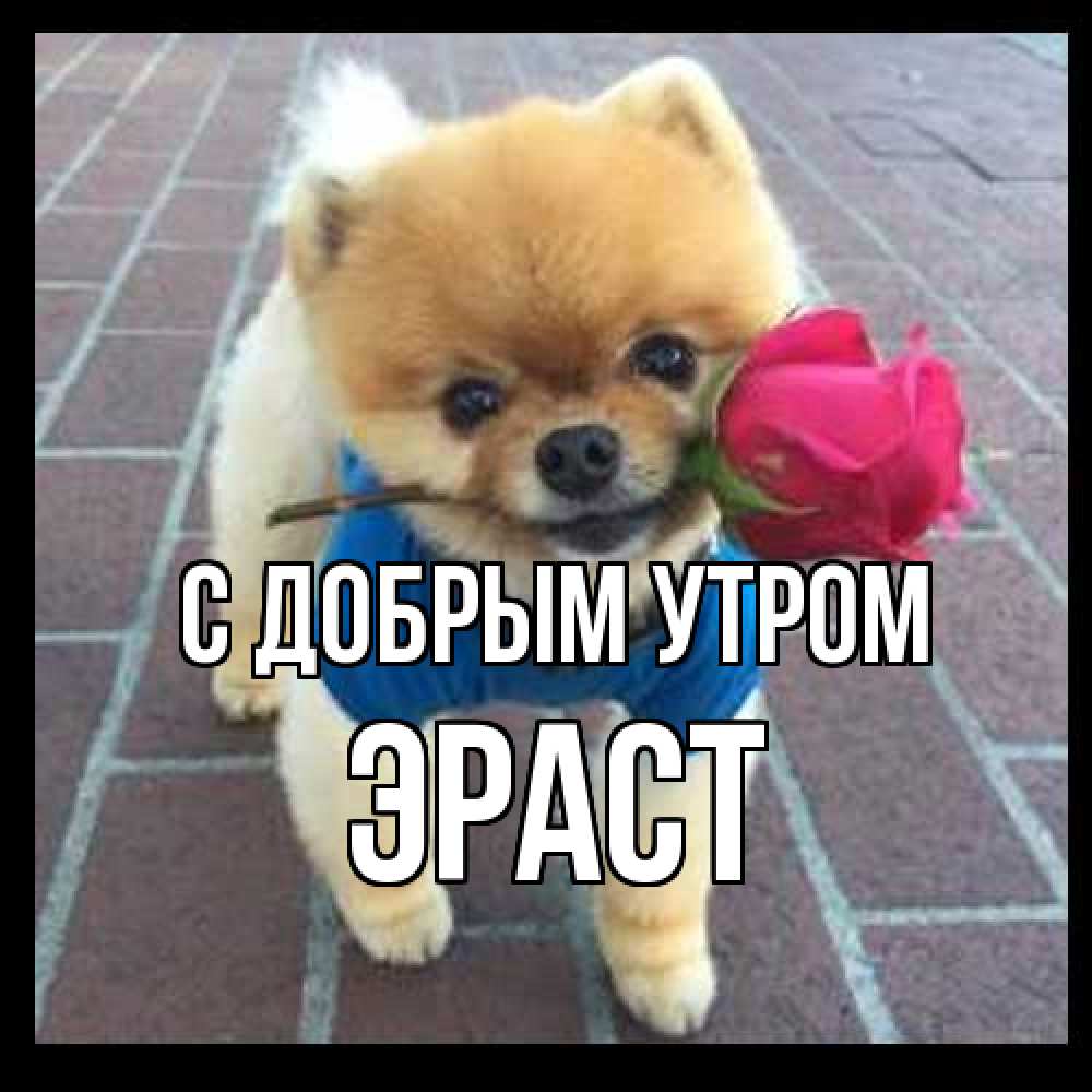 Открытка  с именем. Эраст, С добрым утром  