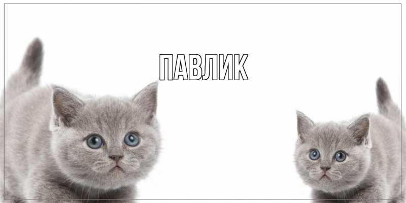 Картинка  с именем , Павлик