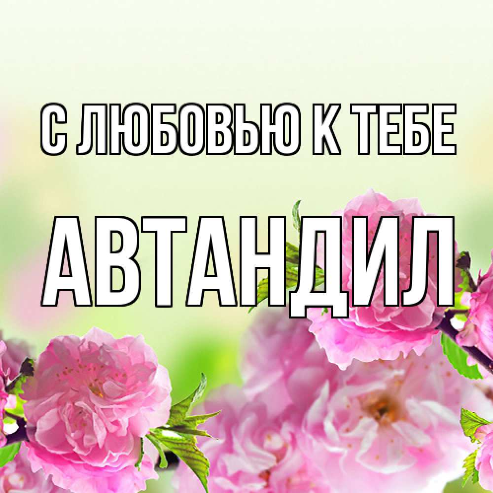 Открытка  с именем. Автандил, С любовью к тебе  