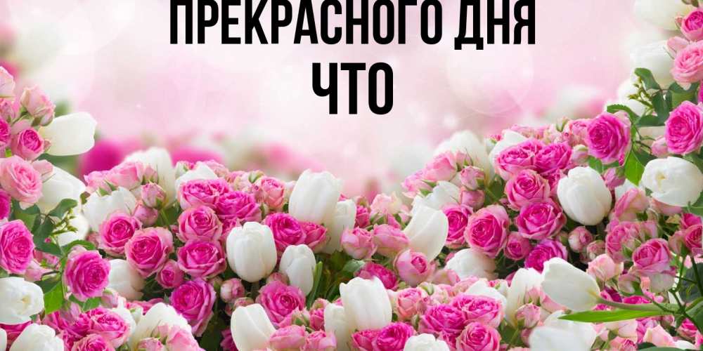 Открытка  с именем. Что, Прекрасного дня  