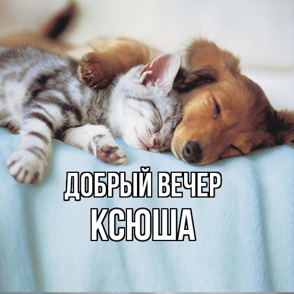 Открытка  с именем. Ксюша, Добрый вечер  