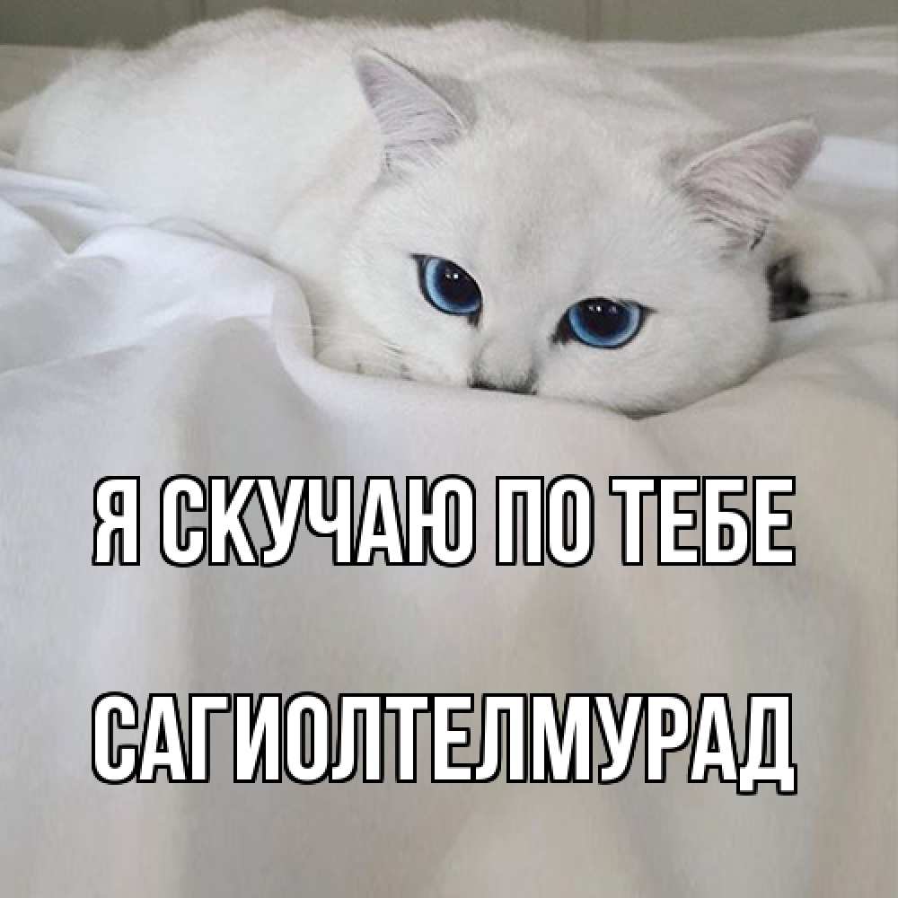 Открытка  с именем. САГИОЛТЕЛМУРАД, Я скучаю по тебе  