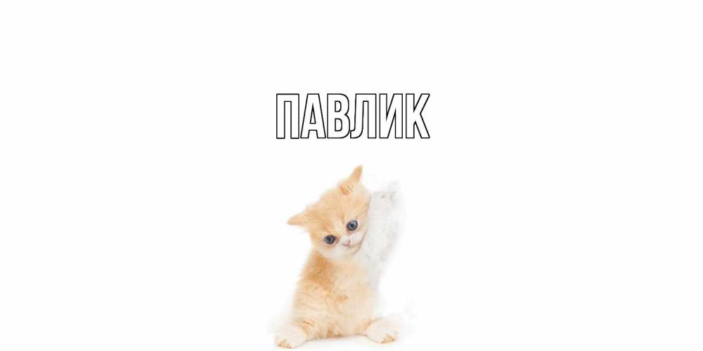 Открытка  с именем. Павлик, Главная  