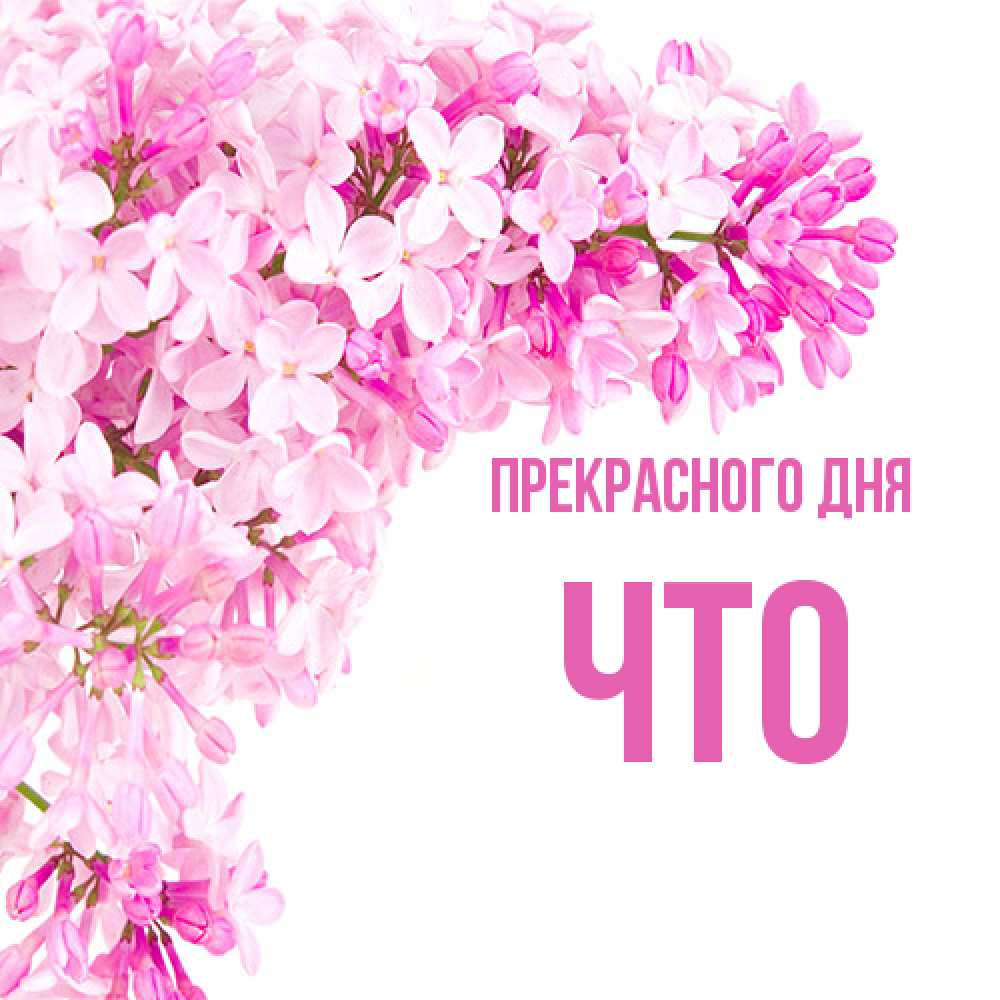 Открытка  с именем. Что, Прекрасного дня  