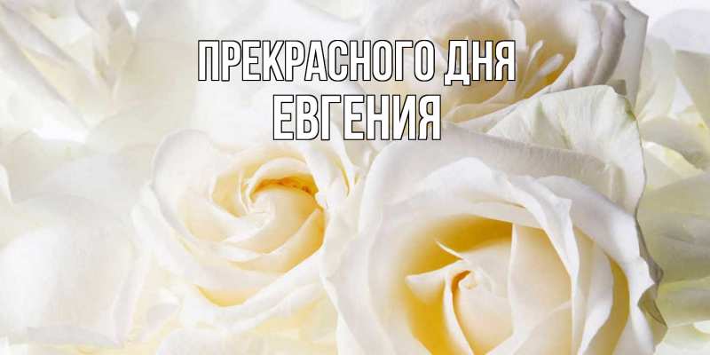 Картинка Прекрасного дня, Евгения