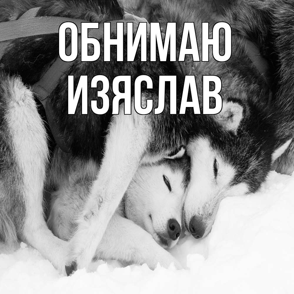 Открытка  с именем. Изяслав, Обнимаю  