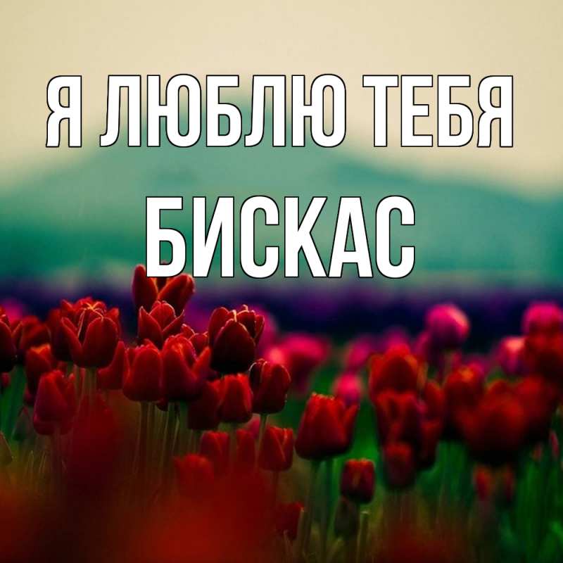 Картинка Я люблю тебя, Бискас
